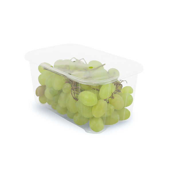 Grape solution de conditionnement pour la production de produits frais française