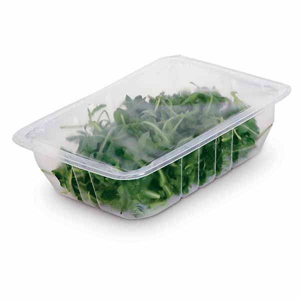 Spinach solution de conditionnement pour la production de produits frais française