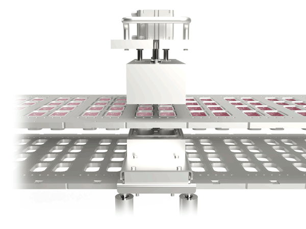 6L machine de conditionnement detail